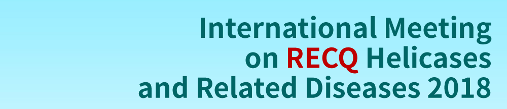 4th International Meeting on RECQ Helicases and Related Diseases
