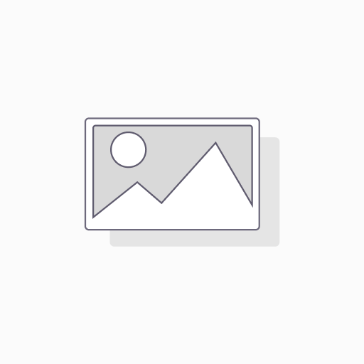 40S ribosomal protein S11 Polyclonal Antibody